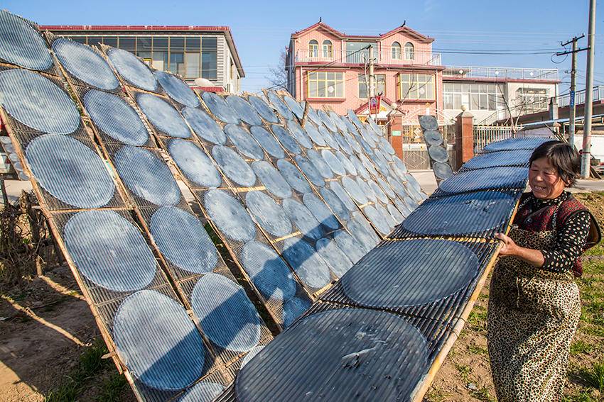 見過傳統(tǒng)技法做粉皮嗎？隨鏡頭走進豫東農(nóng)村看看吧