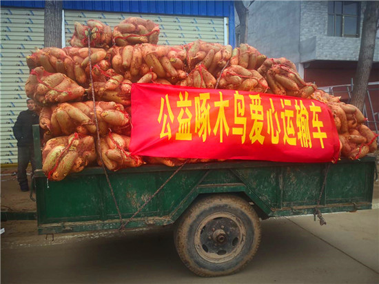 ＂愛心蘿卜＂來了！