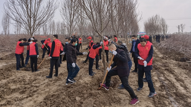 栽下樹苗，留下新綠