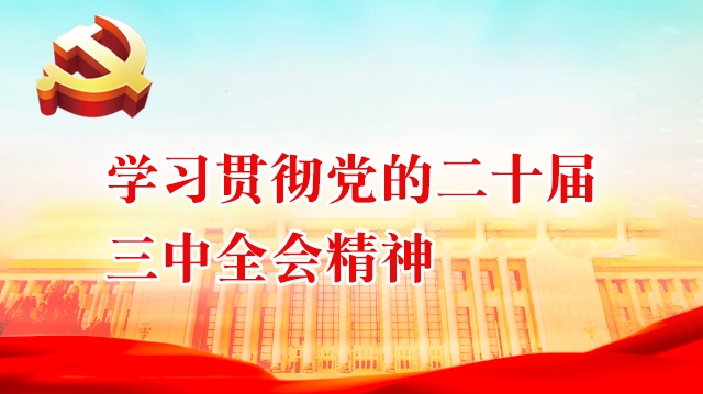 學習貫徹黨的二十屆三中全會精神